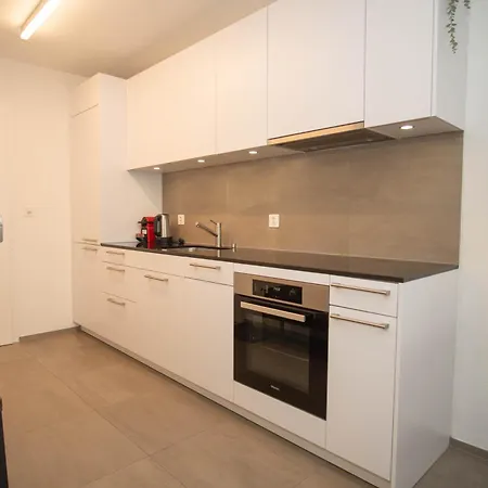 Modern Apartment In Basel With Free Baselcard Exterior photo
