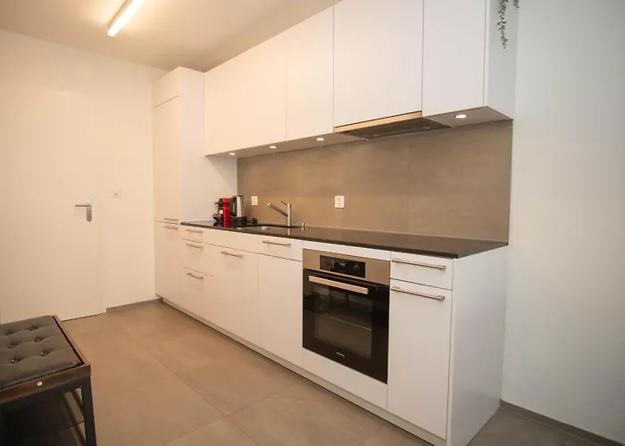 Modern Apartment In Basel With Free Baselcard