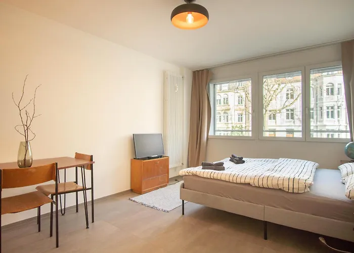 Modern Apartment In Basel With Free Baselcard