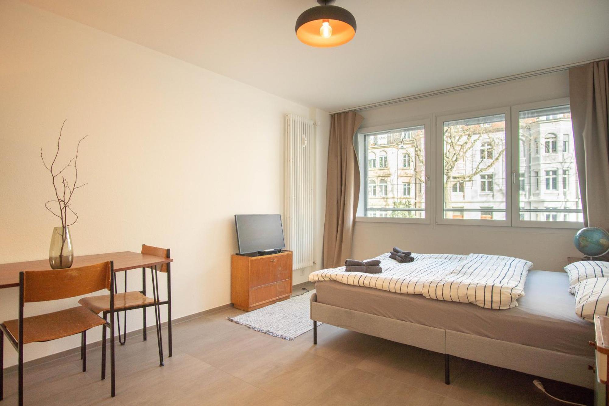 Appartement Modern In With Free Baselcard *